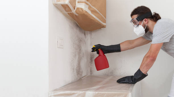 Professional Bathroom Mold Removal technician working in Locust Valley, NY
